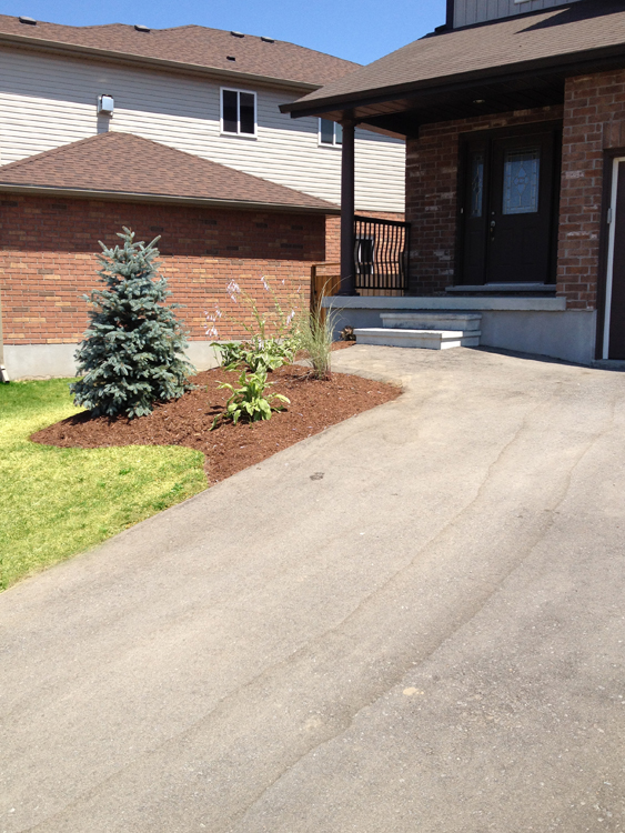 Yard Worx landscape project