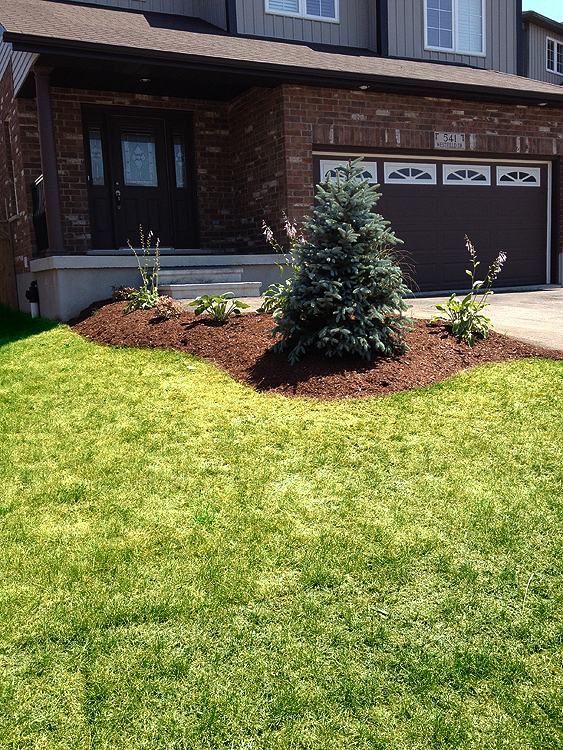 Yard Worx landscape project