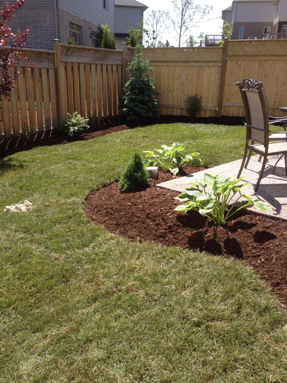 Yard Worx landscape project