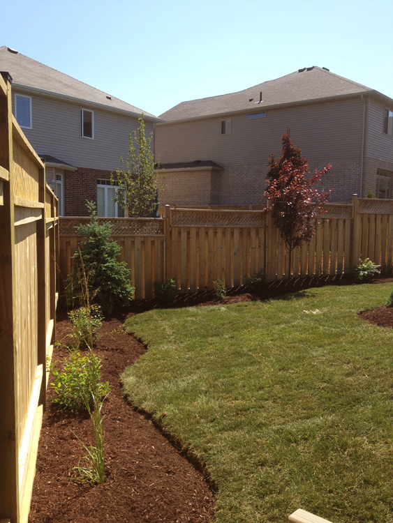 Yard Worx landscape project