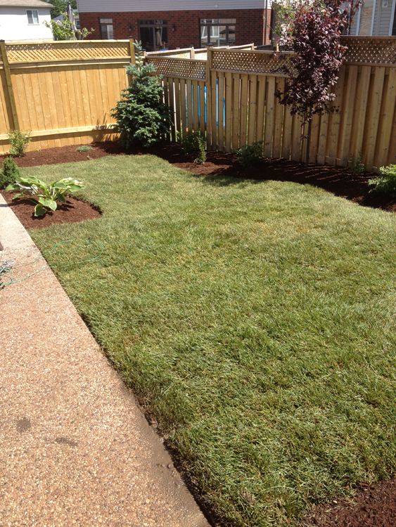 Yard Worx landscape project