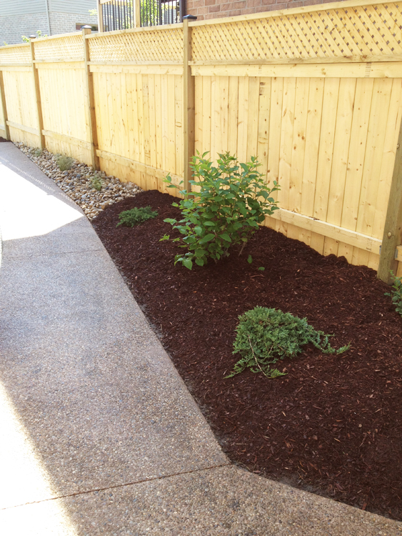 Yard Worx landscape project