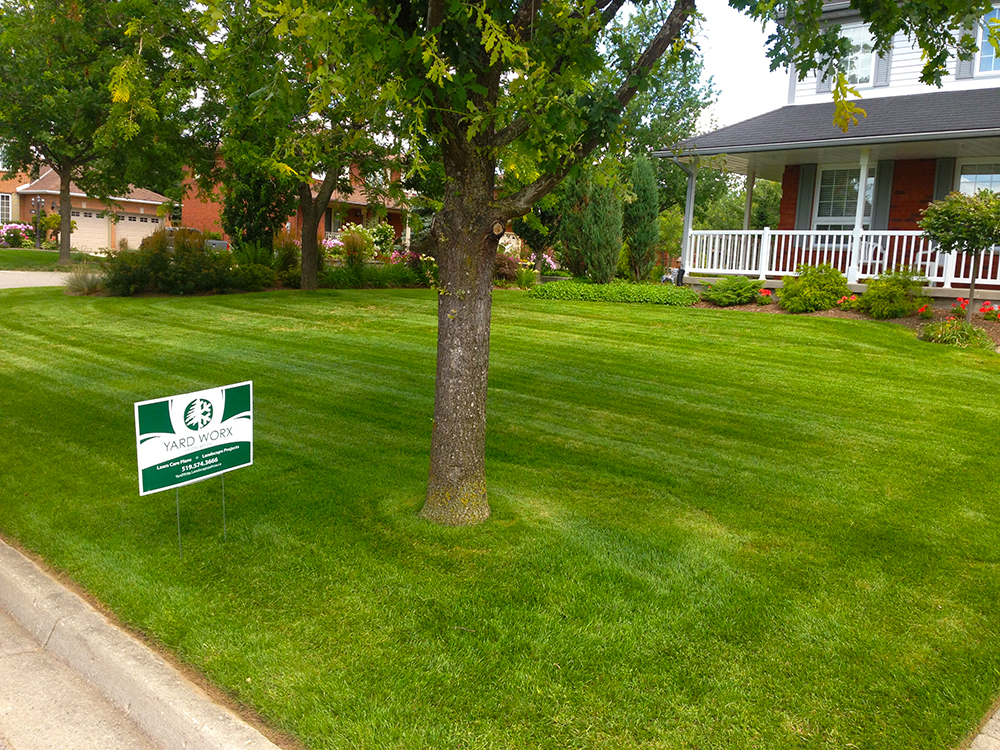 Yard Worx landscape project
