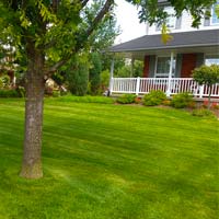 Residential lawn maintained on Yard Worx Green Season program