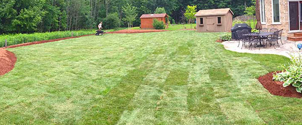 Completed sod installation