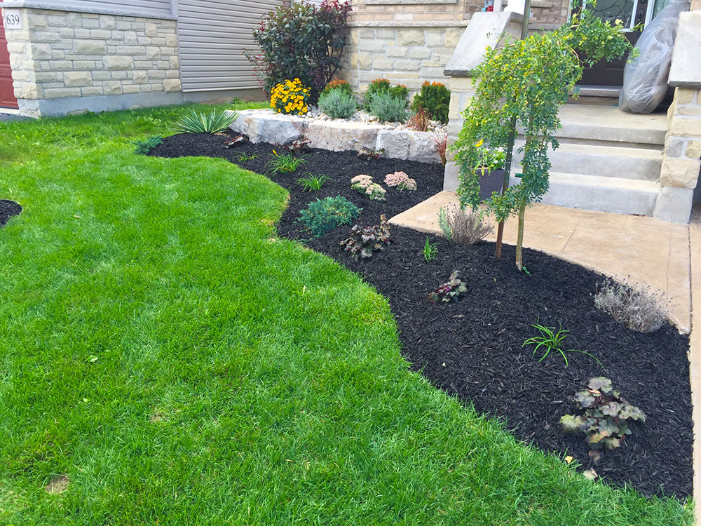 Hard surface edging detail on a Yard Worx job
