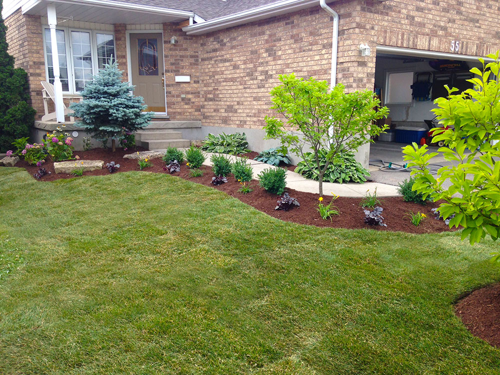 Yard Worx crew running spring cleanup on a Kitchener residential lawn