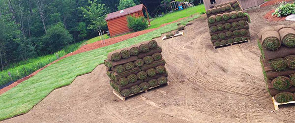 Sod installation in progress