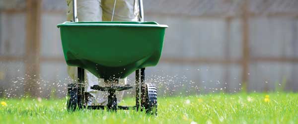 Fertilizer application by Yard Worx