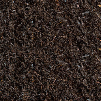 Auburn Pine mulch swatch