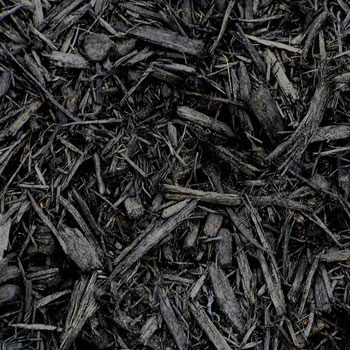 Black Beauty mulch swatch