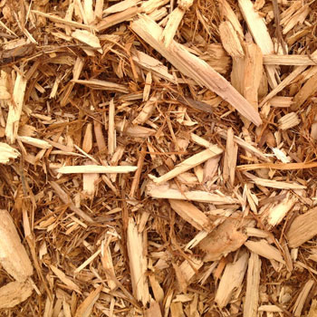 Cedar mulch swatch