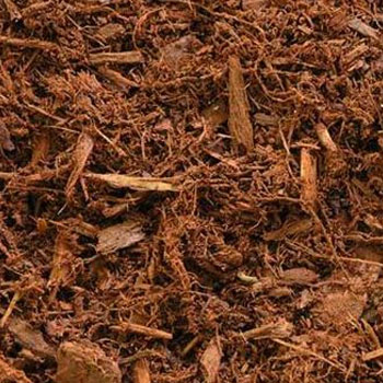 Hemlock mulch swatch